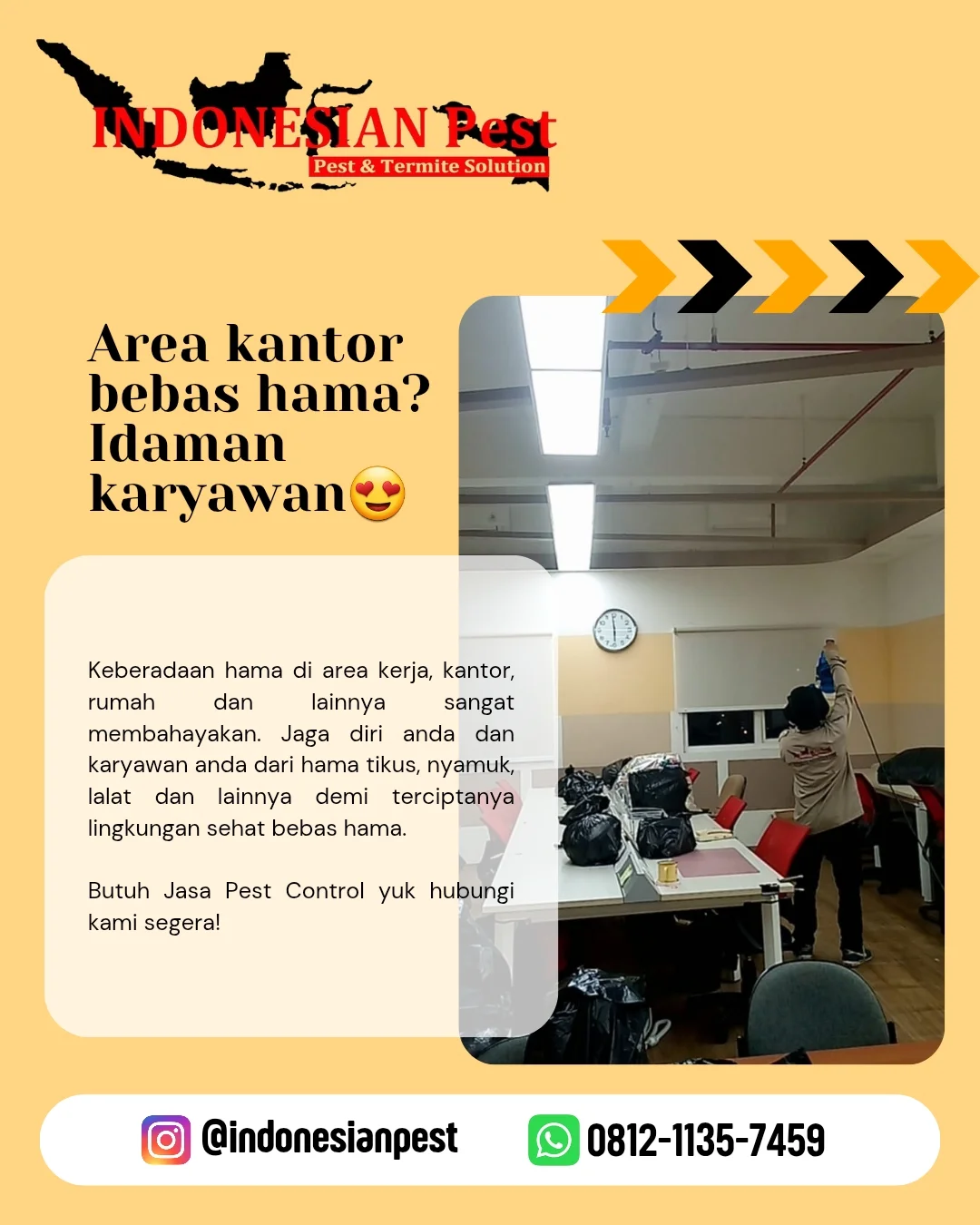 anti rayap, Basmi Hama, Basmi Rayap, Disinfection Treatment, Disinfektan, fogging, Fogging Nyamuk, fumigasi, Jasa Anti Rayap, Jasa Anti Rayap di Bekasi, Jasa Anti Rayap di Bogor, Jasa Anti Rayap di Depok, Jasa Anti Rayap di Jakarta, Jasa Anti Rayap di Jakarta Barat, Jasa Anti Rayap di Jakarta Pusat, Jasa Anti Rayap di Jakarta Selatan, Jasa Anti Rayap di Jakarta Timur, Jasa Anti Rayap di Jakarta Utara, Jasa Anti Rayap di Tangerang, Jasa Anti Rayap di Tangerang Selatan, Jasa Anti Rayap Pasca Konstruksi, Jasa Anti Rayap Pra Konstruksi, Jasa Basmi Hama, Jasa Basmi Rayap, Jasa Disinfektan, Jasa Fogging, Jasa Fogging di Bekasi, Jasa Fogging di Bogor, Jasa Fogging di Depok, Jasa Fogging di Jakarta, Jasa Fogging di Jakarta Barat, Jasa Fogging di Jakarta Pusat, Jasa Fogging di Jakarta Selatan, Jasa Fogging di Jakarta Timur, Jasa Fogging di Jakarta Utara, Jasa Fogging di Tangerang, Jasa Fogging di Tangerang Selatan, Jasa Fogging Gudang, Jasa Fogging Hotel, Jasa Fogging Kantor, Jasa Fogging Komplek, Jasa Fogging Mall, Jasa Fogging Nyamuk, Jasa Fogging Nyamuk DBD, Jasa Fogging Pabrik, Jasa Fogging Perumahan, Jasa Fogging Restoran, Jasa Fogging Rumah, Jasa Fogging Rumah Sakit, Jasa Fumigasi, Jasa Pembasmi Hama, jasa pembasmi kecoa, jasa pembasmi kutu busuk, jasa pembasmi lalat, jasa pembasmi nyamuk, Jasa Pembasmi Rayap, jasa pembasmi semut, jasa pembasmi tawon, jasa pembasmi tikus, jasa pembasmi tungau, jasa pembasmi ular, jasa pest control, Jasa Pest Control Cafe, Jasa Pest Control Hotel, Jasa Pest Control Kantor, Jasa Pest Control Rayap, Jasa Pest Control Restoran, Jasa Pest Control Rumah Sakit, Layanan Pembasmian Hama, Pembasmi Rayap, Pembasmian Hama, Pembasmian Hewan Liar Umum, Pembasmian Kecoa, Pembasmian Kutu & Tungau, Pembasmian Kutu Tempat Tidur (Kutu Busuk), Pembasmian Laba-laba, Pembasmian Lebah, Pembasmian Nyamuk, Pembasmian Rayap, Pembasmian Semut, Pembasmian Serangga & Kutu, Pembasmian Tikus, Pemeriksaan Hama Umum, Pemeriksaan Rayap, Pemeriksaan Rumah, Pest Control, Pest Control Rayap, Pest Control Rumah Sakit, Jasa Anti Rayap Perumahan, Jasa Anti Rayap Rumah, Jasa Anti Rayap Kantor, Jasa Anti Rayap Hotel, Jasa Anti Rayap Restoran, Jasa Anti Rayap Gudang, Jasa Anti Rayap Pabrik, Jasa Anti Rayap Bangunan, Termite Control, Termite Control Services, Termite Treatment, General Pest Control, Rat Control, Cockroach Control, Bed Bug Control, Mosquito Control, Snake Control, Insect Control, Thermal Fogging, Soil Treatment, Disinfection Treatment, Residential Pest Control Service, House Pest Control Service, Office Pest Control Service, Factory Pest Control