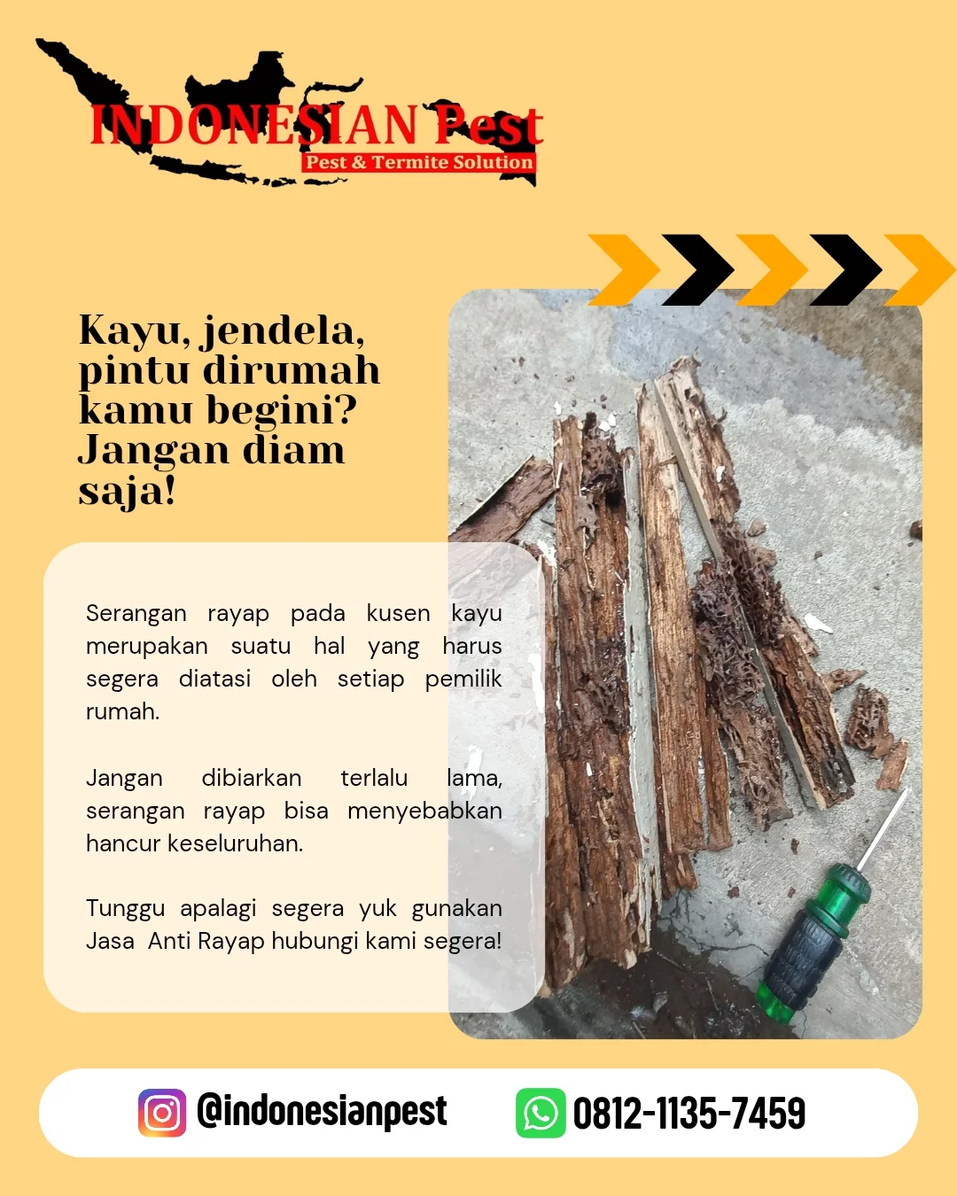 anti rayap, Basmi Hama, Basmi Rayap, Disinfection Treatment, Disinfektan, fogging, Fogging Nyamuk, fumigasi, Jasa Anti Rayap, Jasa Anti Rayap di Bekasi, Jasa Anti Rayap di Bogor, Jasa Anti Rayap di Depok, Jasa Anti Rayap di Jakarta, Jasa Anti Rayap di Jakarta Barat, Jasa Anti Rayap di Jakarta Pusat, Jasa Anti Rayap di Jakarta Selatan, Jasa Anti Rayap di Jakarta Timur, Jasa Anti Rayap di Jakarta Utara, Jasa Anti Rayap di Tangerang, Jasa Anti Rayap di Tangerang Selatan, Jasa Anti Rayap Pasca Konstruksi, Jasa Anti Rayap Pra Konstruksi, Jasa Basmi Hama, Jasa Basmi Rayap, Jasa Disinfektan, Jasa Fogging, Jasa Fogging di Bekasi, Jasa Fogging di Bogor, Jasa Fogging di Depok, Jasa Fogging di Jakarta, Jasa Fogging di Jakarta Barat, Jasa Fogging di Jakarta Pusat, Jasa Fogging di Jakarta Selatan, Jasa Fogging di Jakarta Timur, Jasa Fogging di Jakarta Utara, Jasa Fogging di Tangerang, Jasa Fogging di Tangerang Selatan, Jasa Fogging Gudang, Jasa Fogging Hotel, Jasa Fogging Kantor, Jasa Fogging Komplek, Jasa Fogging Mall, Jasa Fogging Nyamuk, Jasa Fogging Nyamuk DBD, Jasa Fogging Pabrik, Jasa Fogging Perumahan, Jasa Fogging Restoran, Jasa Fogging Rumah, Jasa Fogging Rumah Sakit, Jasa Fumigasi, Jasa Pembasmi Hama, jasa pembasmi kecoa, jasa pembasmi kutu busuk, jasa pembasmi lalat, jasa pembasmi nyamuk, Jasa Pembasmi Rayap, jasa pembasmi semut, jasa pembasmi tawon, jasa pembasmi tikus, jasa pembasmi tungau, jasa pembasmi ular, jasa pest control, Jasa Pest Control Cafe, Jasa Pest Control Hotel, Jasa Pest Control Kantor, Jasa Pest Control Rayap, Jasa Pest Control Restoran, Jasa Pest Control Rumah Sakit, Layanan Pembasmian Hama, Pembasmi Rayap, Pembasmian Hama, Pembasmian Hewan Liar Umum, Pembasmian Kecoa, Pembasmian Kutu & Tungau, Pembasmian Kutu Tempat Tidur (Kutu Busuk), Pembasmian Laba-laba, Pembasmian Lebah, Pembasmian Nyamuk, Pembasmian Rayap, Pembasmian Semut, Pembasmian Serangga & Kutu, Pembasmian Tikus, Pemeriksaan Hama Umum, Pemeriksaan Rayap, Pemeriksaan Rumah, Pest Control, Pest Control Rayap, Pest Control Rumah Sakit, Jasa Anti Rayap Perumahan, Jasa Anti Rayap Rumah, Jasa Anti Rayap Kantor, Jasa Anti Rayap Hotel, Jasa Anti Rayap Restoran, Jasa Anti Rayap Gudang, Jasa Anti Rayap Pabrik, Jasa Anti Rayap Bangunan, Termite Control, Termite Control Services, Termite Treatment, General Pest Control, Rat Control, Cockroach Control, Bed Bug Control, Mosquito Control, Snake Control, Insect Control, Thermal Fogging, Soil Treatment, Disinfection Treatment, Residential Pest Control Service, House Pest Control Service, Office Pest Control Service, Factory Pest Control