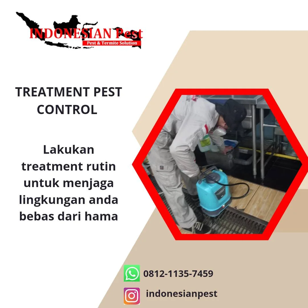 anti rayap, Basmi Hama, Basmi Rayap, Disinfection Treatment, Disinfektan, fogging, Fogging Nyamuk, fumigasi, Jasa Anti Rayap, Jasa Anti Rayap di Bekasi, Jasa Anti Rayap di Bogor, Jasa Anti Rayap di Depok, Jasa Anti Rayap di Jakarta, Jasa Anti Rayap di Jakarta Barat, Jasa Anti Rayap di Jakarta Pusat, Jasa Anti Rayap di Jakarta Selatan, Jasa Anti Rayap di Jakarta Timur, Jasa Anti Rayap di Jakarta Utara, Jasa Anti Rayap di Tangerang, Jasa Anti Rayap di Tangerang Selatan, Jasa Anti Rayap Pasca Konstruksi, Jasa Anti Rayap Pra Konstruksi, Jasa Basmi Hama, Jasa Basmi Rayap, Jasa Disinfektan, Jasa Fogging, Jasa Fogging di Bekasi, Jasa Fogging di Bogor, Jasa Fogging di Depok, Jasa Fogging di Jakarta, Jasa Fogging di Jakarta Barat, Jasa Fogging di Jakarta Pusat, Jasa Fogging di Jakarta Selatan, Jasa Fogging di Jakarta Timur, Jasa Fogging di Jakarta Utara, Jasa Fogging di Tangerang, Jasa Fogging di Tangerang Selatan, Jasa Fogging Gudang, Jasa Fogging Hotel, Jasa Fogging Kantor, Jasa Fogging Komplek, Jasa Fogging Mall, Jasa Fogging Nyamuk, Jasa Fogging Nyamuk DBD, Jasa Fogging Pabrik, Jasa Fogging Perumahan, Jasa Fogging Restoran, Jasa Fogging Rumah, Jasa Fogging Rumah Sakit, Jasa Fumigasi, Jasa Pembasmi Hama, jasa pembasmi kecoa, jasa pembasmi kutu busuk, jasa pembasmi lalat, jasa pembasmi nyamuk, Jasa Pembasmi Rayap, jasa pembasmi semut, jasa pembasmi tawon, jasa pembasmi tikus, jasa pembasmi tungau, jasa pembasmi ular, jasa pest control, Jasa Pest Control Cafe, Jasa Pest Control Hotel, Jasa Pest Control Kantor, Jasa Pest Control Rayap, Jasa Pest Control Restoran, Jasa Pest Control Rumah Sakit, Layanan Pembasmian Hama, Pembasmi Rayap, Pembasmian Hama, Pembasmian Hewan Liar Umum, Pembasmian Kecoa, Pembasmian Kutu & Tungau, Pembasmian Kutu Tempat Tidur (Kutu Busuk), Pembasmian Laba-laba, Pembasmian Lebah, Pembasmian Nyamuk, Pembasmian Rayap, Pembasmian Semut, Pembasmian Serangga & Kutu, Pembasmian Tikus, Pemeriksaan Hama Umum, Pemeriksaan Rayap, Pemeriksaan Rumah, Pest Control, Pest Control Rayap, Pest Control Rumah Sakit, Jasa Anti Rayap Perumahan, Jasa Anti Rayap Rumah, Jasa Anti Rayap Kantor, Jasa Anti Rayap Hotel, Jasa Anti Rayap Restoran, Jasa Anti Rayap Gudang, Jasa Anti Rayap Pabrik, Jasa Anti Rayap Bangunan, Termite Control, Termite Control Services, Termite Treatment, General Pest Control, Rat Control, Cockroach Control, Bed Bug Control, Mosquito Control, Snake Control, Insect Control, Thermal Fogging, Soil Treatment, Disinfection Treatment, Residential Pest Control Service, House Pest Control Service, Office Pest Control Service, Factory Pest Control